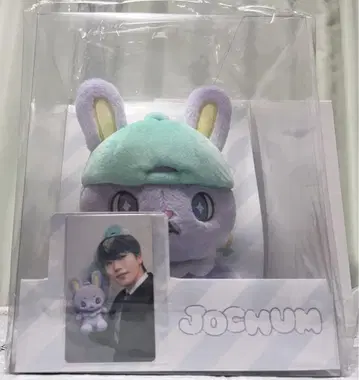 미개봉 새상품 JOCHUM 조츄무 JO1 키마타 쇼야 치마타 봉제 인형