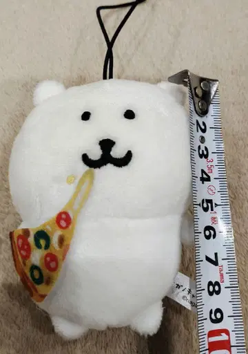 나가노 곰 피자