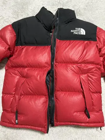 THE NORTH FACE 다운 자켓 빨검
