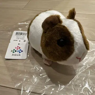 모르모트 봉제 인형