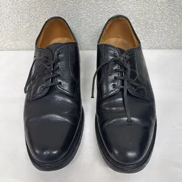 리걸  외부 깃털식  플레인토