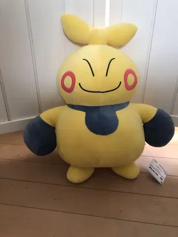 포켓몬 봉제 인형