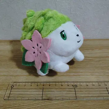 포켓몬 셰이미 봉제 인형