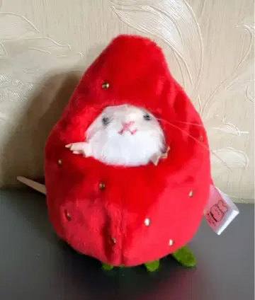 삼각형 유리 쥐 봉제 인형 및 의상 컬렉션
