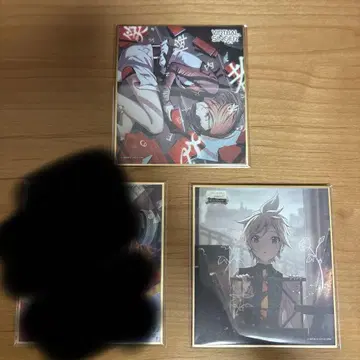 프로세카 색지 코하네 MEIKO 렌