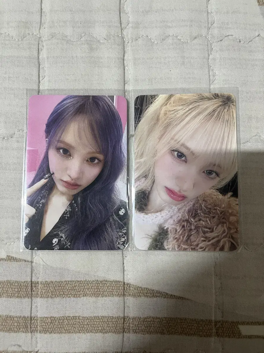 급처 아이브 엠파시 공방 리즈 포카 일괄 개별 판매