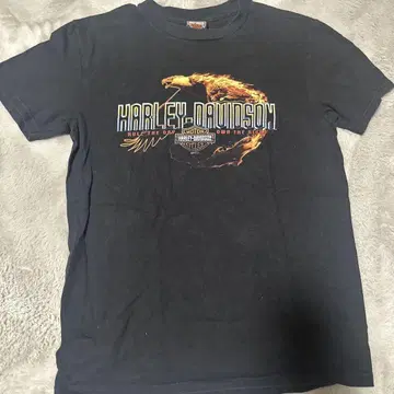 HARLEY DAVIDSON 이글 티셔츠