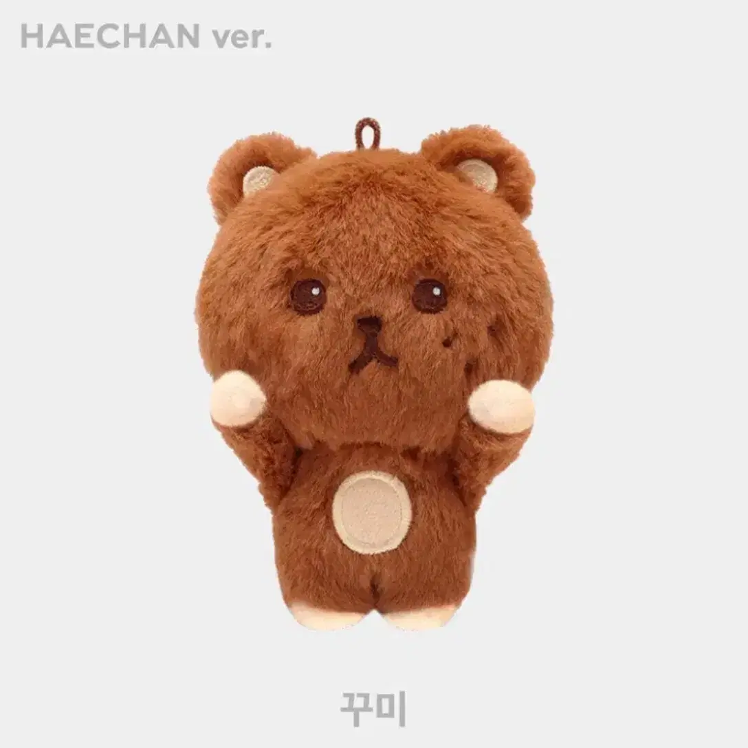 NCT127 nct dream ヘチャン ぬいぐるみ doll 人形 해찬 nct dream 127 haechan 10cm lee kkomchan bear doll new