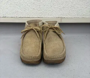 클락스 왈라비