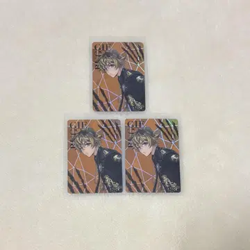트위스티 오로라 카드 라기