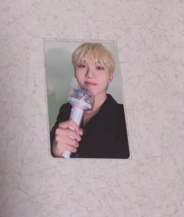 세부치 seventeen 스쿤광 be the sun 캐럿 존