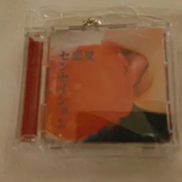 마카로니 연필  회장 한정판 가챠가챠 여름 사랑 센세이션