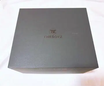 THEBOYZ 응원봉