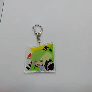 리오 아크링 키링