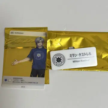 밀라노 케스트렐 니지 페스티벌 2025 네임 배지 SNS풍 클리어 카드
