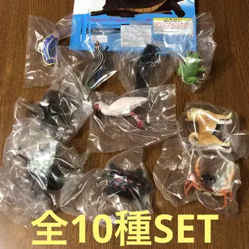 NTC Nature of Japan 일본 생물 02 전 10종 세트