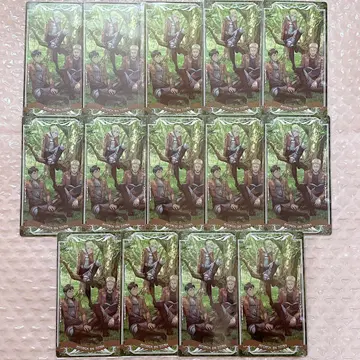 진격의 거인 아르카나 카드 애니 라이너 벨트 14점