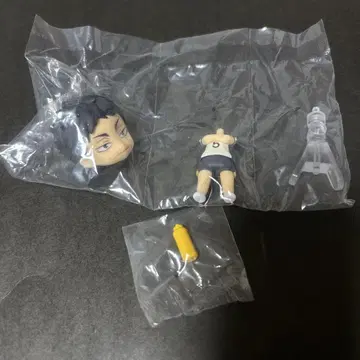 하이큐!! 전국 대회 편 넨도로이드 사프라이즈 아카아시 케이지