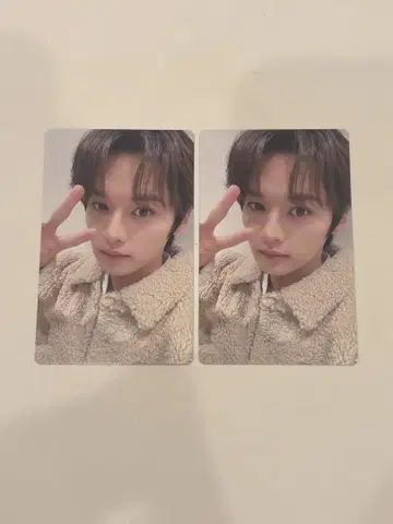 straykids 스키즈 리노 2장 회장에서만 판매되는 트레이딩 카드