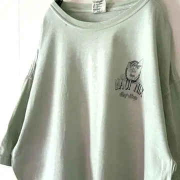 컴포트 컬러 마우이 믹스 티셔츠 XL 그린 그린 구제 의류