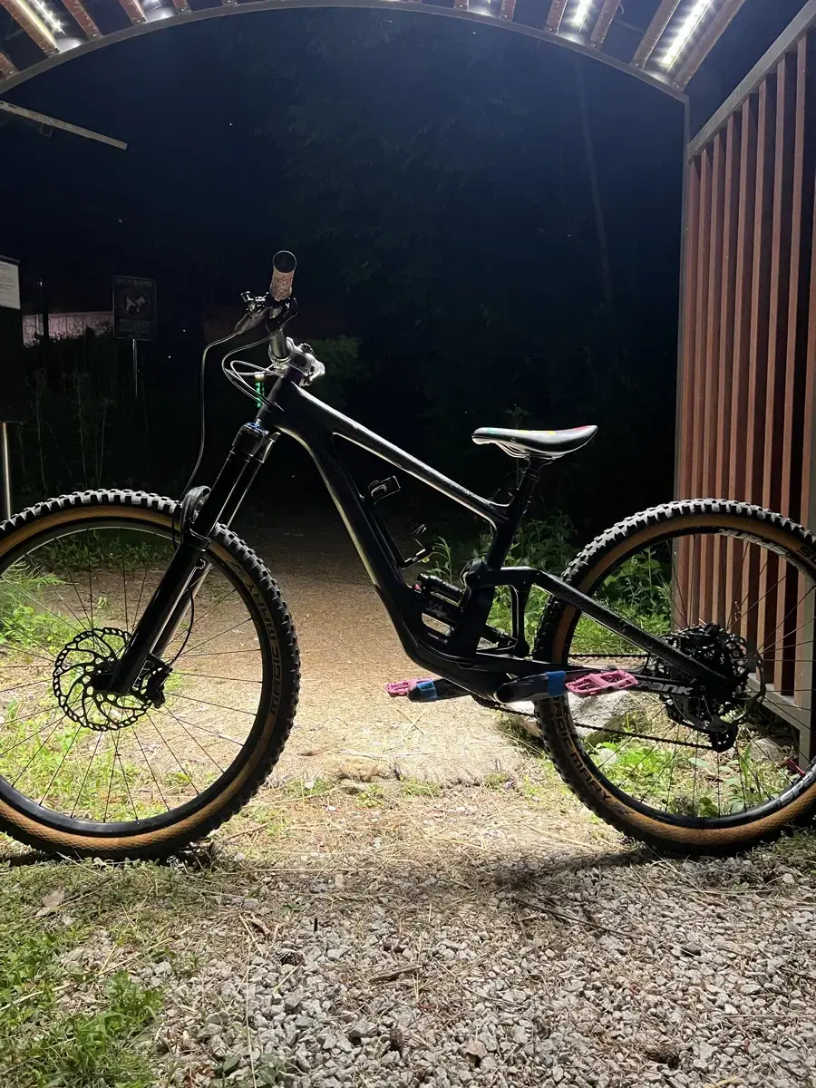 Specialized Enduro Expert Full Suspension Bike