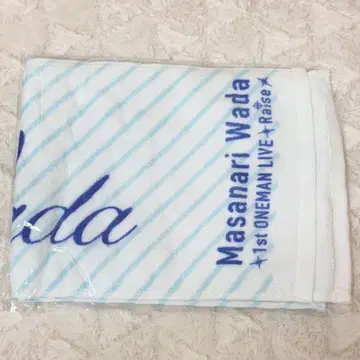 와다 마사나리 Raise 타월