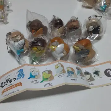 밀착된 새