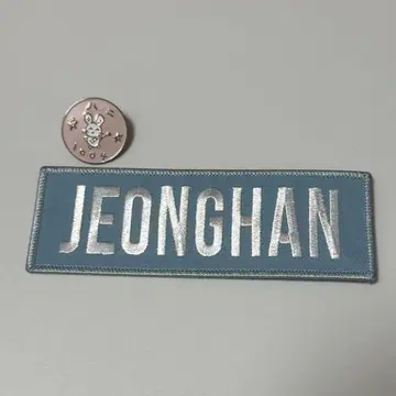 SEVENTEEN 정한 핀 배지 와펜