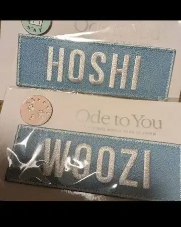 HOSHI WOOZI Ode to You 배지
