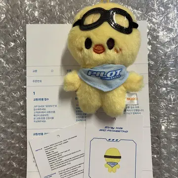 스키즈 필릭스 포가리 누이 파이롯트