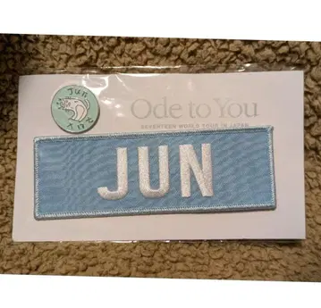 SEVENTEEN JUN 자수 패치 스카이블루