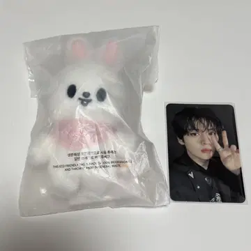 straykids 5'CLOCK 10cm 봉제 인형 펜미 Lee 비트