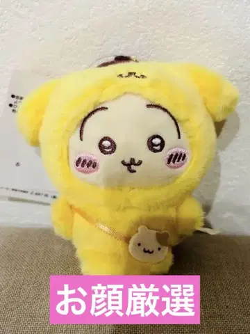 치이카와 산리오 캐릭터즈 마스코트 홀더 토끼 폼폼푸딩