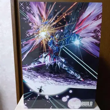 METALBUILD 데스티니 (풀 패키지)