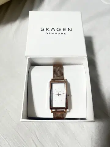 SKAGEN 메쉬 밴딩 손목시계