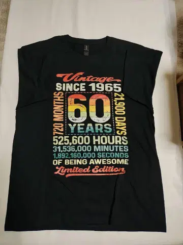 GILDAN 60주년 기념 티셔츠 XL