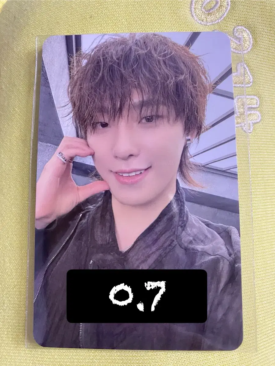 세븐틴 2차 럭드 비트로드 디노