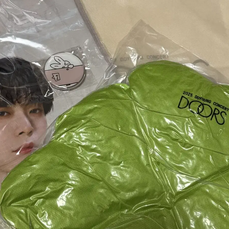 NCT | 엔시티 Doyoung Doors Clover Cushion Admission Gift