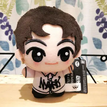 마크 NCT127 팩트 체크 SD 인형 봉제 인형 마스코트
