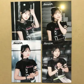 뱅드림 오하라 리코 락