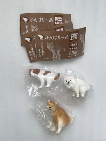 훈마리~누 시바견 잭 러셀 테리어 포메라니안