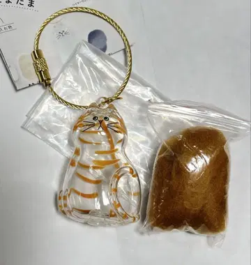 우리 아이의 털뭉치