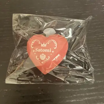 사토미 군 반지 라이트