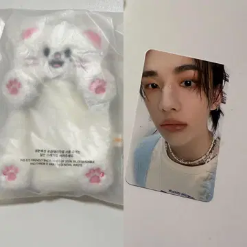 straykids 스키즈 펜미 굿즈 지니레트 현진 트레이딩 카드 케이스