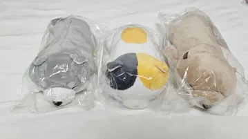 강아지, 고양이, 수달, 봉제 인형
