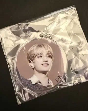 SEVENTEEN EXHIBITION 키링