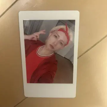 팬더 드래곤 파라곤 하피카 요타