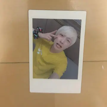 팬더 드래곤 파라곤 하피카 요타