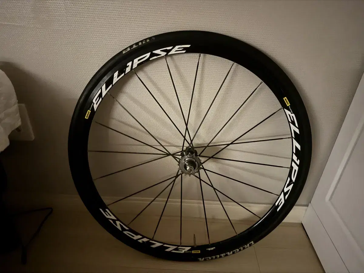 Ellips Rear jin Quick sale
