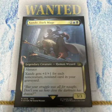MTG FF 어둠의 마도사 잔데 확장 아트 포일 확장 포일 FIN